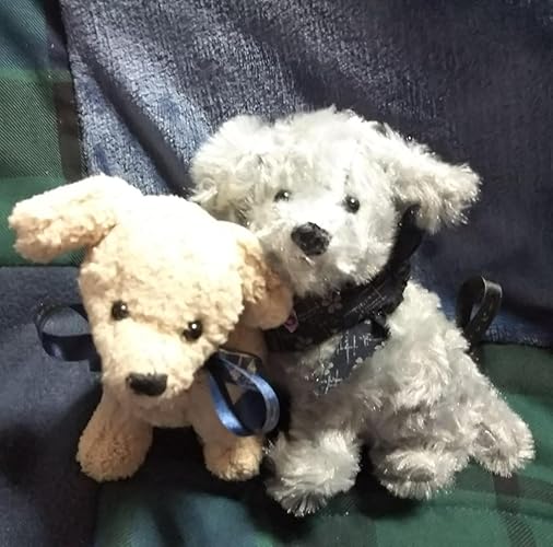 私の愛する犬たち 私の愛する犬たち (レッスンシリーズ) | ささき のん |本 | 通販 | Amazon